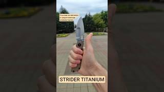 МОНСТР В ТИТАНЕ. "нож Strider" реплика #нож #ножи #strider
