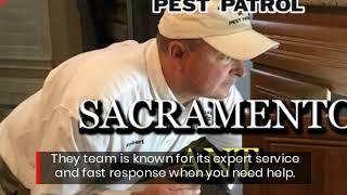 Get The Best Pest Control Service In Sacramento With This Specialist