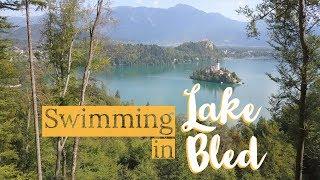 Swimming in lake Bled