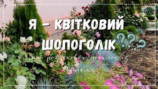 Велика розпаковка: Бережнюки, Яскрава клумба та інші. Збираю яблука. Квітковий шопоголік - це я.