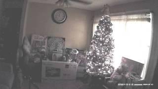 Caught on video at Christmas