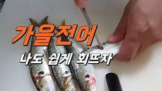 전어 회뜨기 누구나도 쉽게 할 수 있다.[전어손질법]