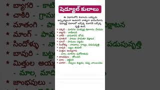 Scheduled Castes #tspsc #appsc #group2 #group3 #ssctelugu #upsctelugu#gs #telugu #upsctelugu#gk #dsc