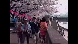 1991 浅草散策散歩 Asakusa Walkabout 910406