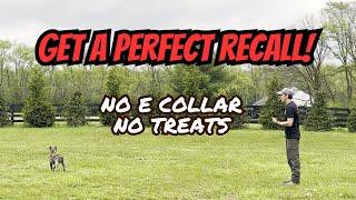 THIS Is How To Get a PERFECT Recall With Your Dog