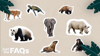 How does a species become endangered? | JUST THE FAQS