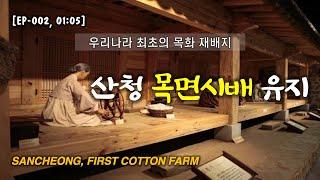 우리나라 최초의 목화 재배지 | 문익점 | 목면시배유지 | 경남 산청군 단성면