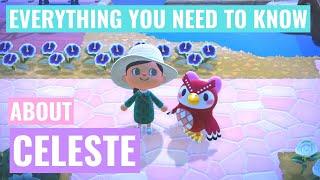 Everything You Need to Know About Celeste | Animal Crossing