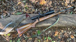 Opening week 2021 Squirrel Hunting update