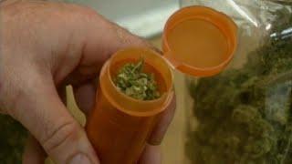 How the Medical Marijuana Executive Order affects Kentuckians