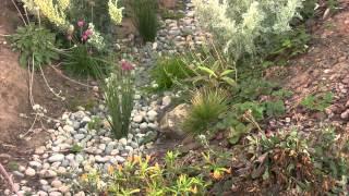 Swale & Rain Garden How To