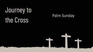 Journey to the Cross: Palm Sunday