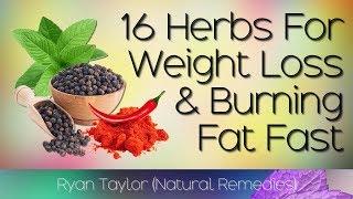 Best Herbs: for Weight Loss (Fast)