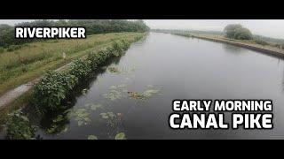 Early morning canal pike - (video 275)