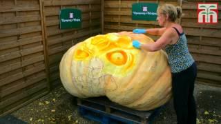 Giant Pumpkin carved for Halloween at Thompson & Morgan