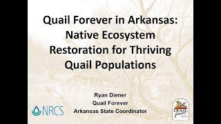 Quail Forever in Arkansas: Native Ecosystem Restoration for Thriving Quail Populations w/Ryan Denier