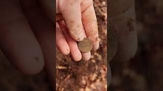 #metaldetecting #metaldetector #historicalcoins #history #nature