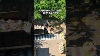 아빠라고 부르지 말랬지 #넌집가면뒤지게맞는다