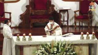 Santa Misa desde la Parroquia Basílica de Santa María de Guadalupe Hgo