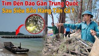 Thực Hư Nhiều Cá Trung Quốc Siêu Bão Đưa Vào Đảo Việt Nam