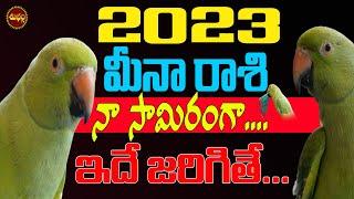 ఆహ  2023 నా సామిరంగా | 2023 MEENA RASI CHILUKA JYOTISYAM | PARROR READING | MEENA RASI | PISCES