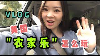 【Vlog疫情下的美国生活】美国“农家乐”怎么玩？