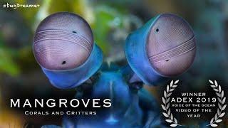 MANGROVES (Adex Award Winning Video)