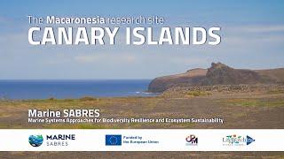 A marine biological conservation corridor for fishes, sea mammals and birds