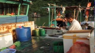 Fisherman Calculating Total Fish Catch on Calculator South China Sea