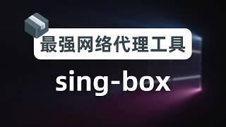 【瑞士军刀】放弃fakeip，拥抱realip，最强网络代理工具sing-box新手指南，从此不知DNS泄漏/DNS污染为何物，软路由插件homeproxy，奈飞DNS解锁、sniff流量嗅探覆写解析