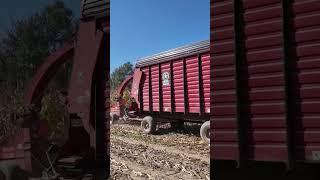 Mr. Yue’s work] How does this machine harvest silage