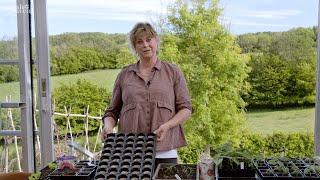 Gardening at home with Sarah | Top Seed Sowing Systems at Perch Hill