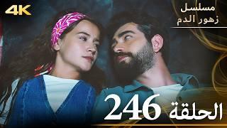 الحلقة 246 | مسلسل زهور الدم | مدبلج بالعربية | Kan Çiçekleri | جودة 4K