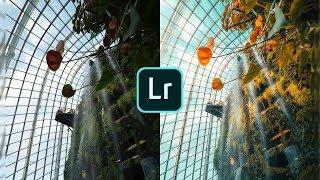 How To Edit Like Yantastic - Lightroom Mobile Tutorial (Free Preset)