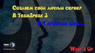 Как создать свой сервер в TeamSpeak 3 за 5 минут