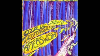 Ozric Tentacles - *Secret Names*