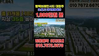 경기도 평택 브레인시티 대광로제비앙그랜드센텀 대장아파트 #평택미분양아파트 #평택미분양줍줍 #평택아파트