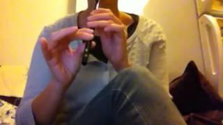 Downton Abbey theme on tin whistle