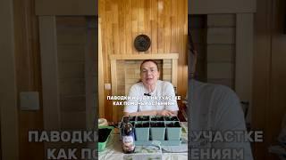 Как помочь растениям после затопления участка