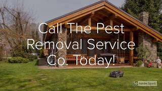 Affordable Pest Control Near Me: Sacramento CA