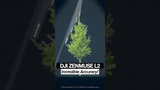 DJI Zenmuse L2 - Overview | Dronefly