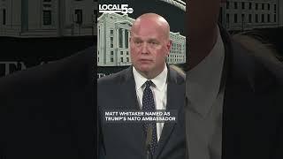 Matt Whitaker named as Trump's NATO ambassador #shorts