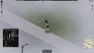 Project Zomboid #2