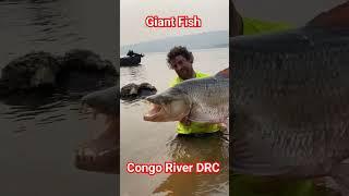  Mysterious CONGO RIVER with fish Crying like human  - Maajabu ya Mto Congo