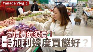 ENG SUB[加拿大Vlog]卡加利物價如何？去邊度買餸平？平時買咩多？好物推介！