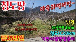 청도땅매매404 매전면 생산관리지역 답 1,009㎡(305P) 당35만원 남향 복숭아밭 기반시설인입용이 #청도부동산 청도전원주택지 청도주말농장매매 매전면4km, 청도IC20km