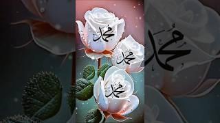 darood o salam #islamic #beautiful #trending #viral #shortvideos