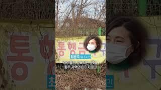 성매매 집결지, 없애면 풍선효과? / 채널A #shorts