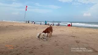 Nilaveli Beach | Trincomalee