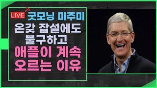 [굿모닝 미주미]   온갖 잡설에도 불구하고 얘플이 계속 오르는 이유, 목표가는  또 상향  #이항영 #미주미